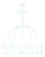 Arusha Networks
